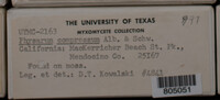 Image Associated With the Occurence